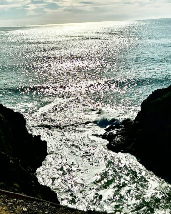 Cove on Pacific Coast