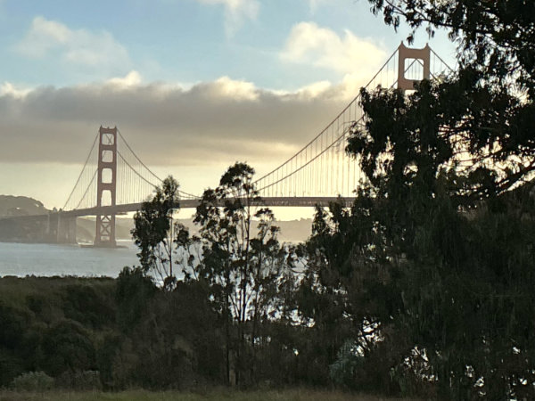 Golden Gate Bridge from Cavallo Ridge